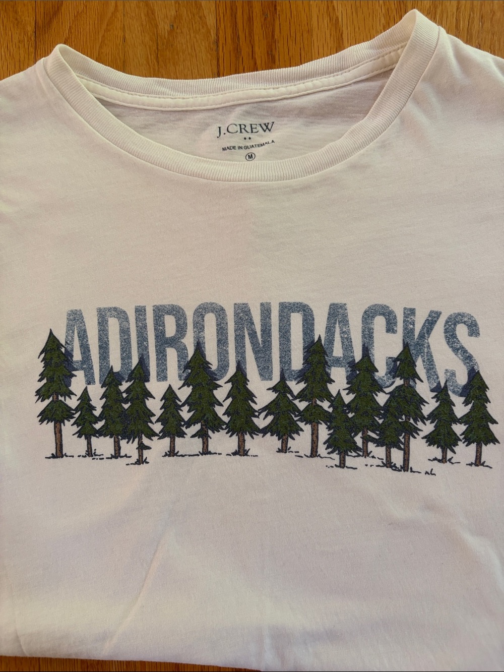 J. Crew White Tee with Blue Adirondacks Graphic and Green Trees